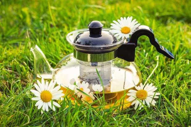 Time for Tea
